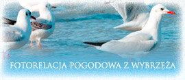 Pogoda Rewal, Pobierowo, Niechorze - Fotorelacja Pogodowa