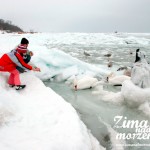 Zima nad morzem - Dokarmianie ptaków