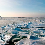 Zima nad morzem bałtyckim