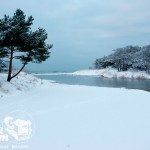 Zima w Pogorzelicy nad morzem