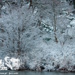 Zima w Pogorzelicy nad morzem