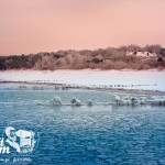 Zima nad morzem - Widok z mola w Niechorzu